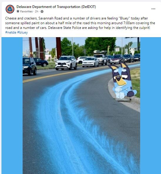 Deldot Bluey